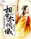 娇宠皇女:相爷太倾城