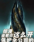 主角保护伞公司