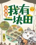 天渊珠：我有一块田