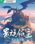 贵族领主小说